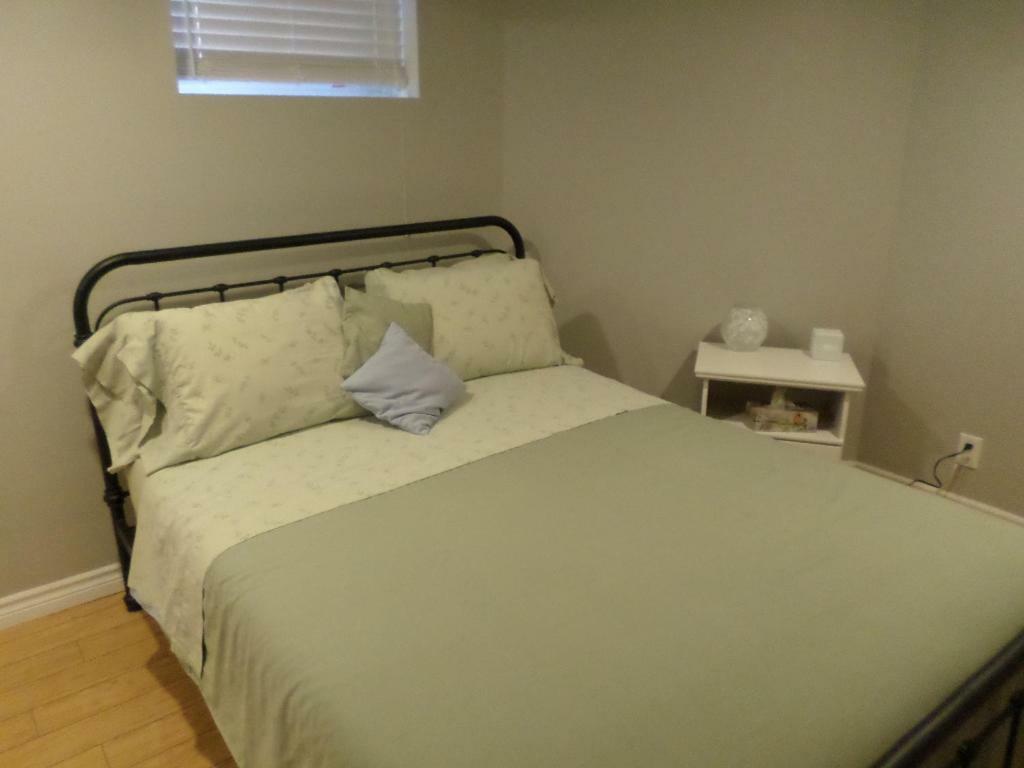 Fantastic And Modern Downtown 1-Bed Basement Apt., Parking Wi-Fi And Netflix Included Ottawa Esterno foto